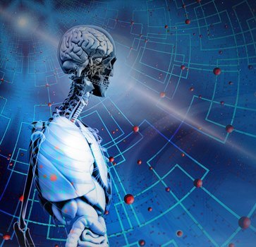 انسانی ذہن، حیاتیاتی دماغ اور ارتقاء